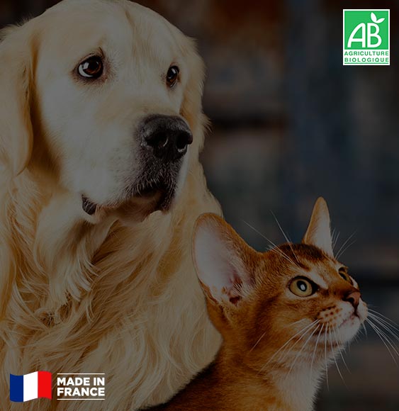 banniere chat chien huile cbd shampoing cbd animaux et logo made in France et logo agriculture biologique