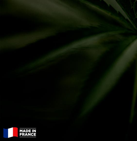 banniere plante chanvre floue et logo made in France