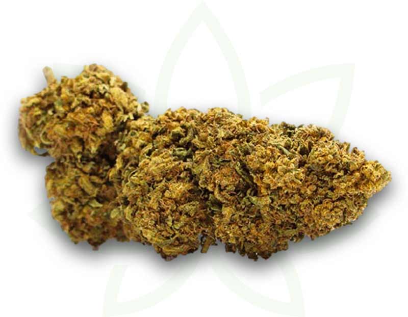 STRAWBERRY GUM, Fleurs de Cannabis CBD 0,3% THC